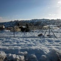 パレスチナに100年に一度とも言われる大雪が降り、大きな被害が出ています。