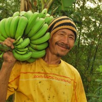 【バナナニュース243号】マカオさんは今!~日本での交流が役立っています~