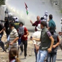 【緊急アピール】イスラエルによる、パレスチナ人に対するテロ行為を止めて下さい!