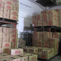 バナナニュース252号:バランゴンバナナが日本に届くまで⑤ ~日本輸入から追熟加工~