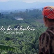 バナナ・プランテーションでの農薬空中散布を止めて！ ～ドキュメンタリー・フィルム「毒の雨」（日本語版）～