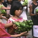 ビデオ『バランゴンとバナナ村の人々』 from フィリピン・ネグロス（PtoP NEWS vol.34/2019.10より）