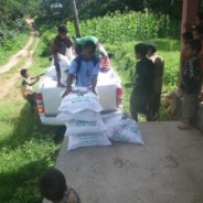 東ティモール: 米の緊急支援を実施