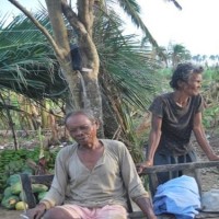 2013年フィリピン・ボホール島地震、台風30号被災及び支援状況について現状のまとめ（スライド）