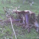 台風30号ヨランダによる被害状況報告～ネグロス西州～（第６報）