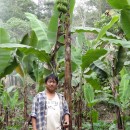 バランゴンバナナ栽培に取り組んで１６年！北ルソン（ルソン島）ソウミル地域・ネストールさんの紹介【228号】
