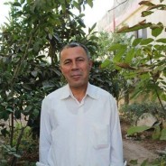 緊迫するパレスチナ情勢、UAWC職員ファラージ氏再拘禁