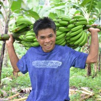 【公開セミナー】 バランゴンバナナの民衆交易はどこまで生産者の自立に寄与できるのか ~フィリピン産地調査報告~