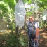 【バナナニュース268号】 バランゴンバナナ生産者紹介 ～西ネグロス州カンラオン市ダニーさん～