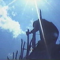 ビデオ『苦い砂糖の島』(1986年)