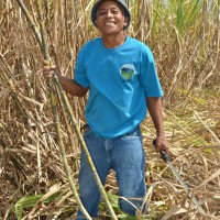 SAVE Negros：環境にやさしい持続可能な農村コミュニティづくり－その２－