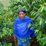 【PtoP NEWS vol.23/2018.02】女性たちがつくる未来への希望～ルワンダのコーヒー農園から～