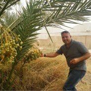 パレスチナの農民のために、オリーブオイルの評価を高めたい！ 　　イッサ・シャトラさん（アルリーフ社副社長）fromパレスチナ（PtoP NEWS vol.32/2019.06 より）