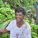 【バナナニュース299号】フィリピン・東ネグロス州マンティケル村