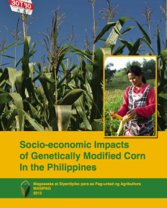 MASIPAG フィリピンにおける遺伝子組み換えトウモロコシの社会経済的影響