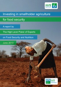 Committee on World Food Security (CFS) Investing in smallholder agriculture for food security http://www.fao.org/fileadmin/user_upload/hlpe/hlpe_documents/HLPE_Reports/HLPE-Report-6_Investing_in_smallholder_agriculture.pdf Committee on World Food Security (CFS) Investing in smallholder agriculture for food security