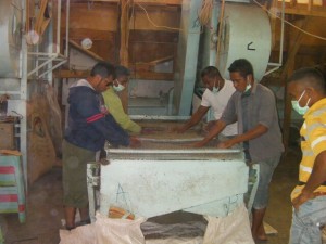 これは篩（ふるい）の機械で脱穀した生豆の大きさを分けているところです。作業場は埃っぽくて暑くて、とても疲れます・・・。