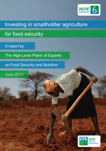 Committee on World Food Security (CFS) Investing in smallholder agriculture for food security