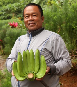 産地ではバナナがたくさん採れています。是非、バランゴンバナナを食べてください。