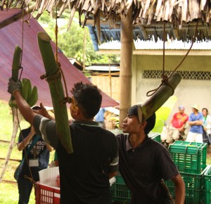 バナナの集荷に参加して房分けの技術を習得中