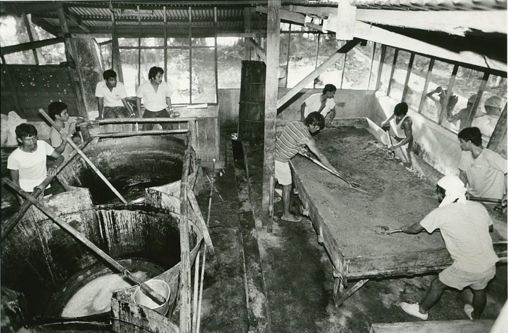 初期のころのマスコバド糖製糖工場は簡素なものでした。