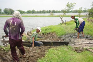 養殖池の堤防の修理作業中